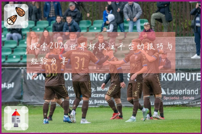 探索2026世界杯投注平台的技巧与经验分享