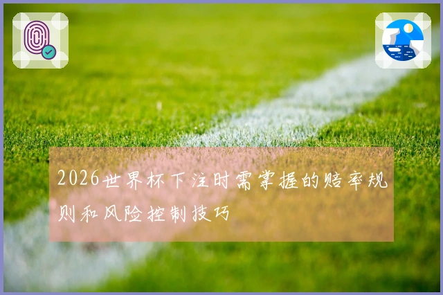 2026世界杯下注时需掌握的赔率规则和风险控制技巧