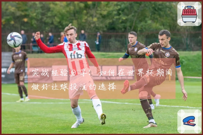 实战经验分享：如何在世界杯期间做好让球投注的选择