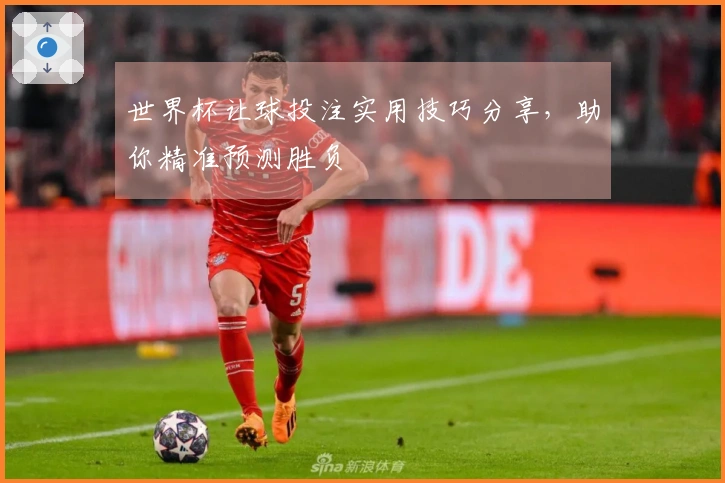 世界杯让球投注实用技巧分享，助你精准预测胜负